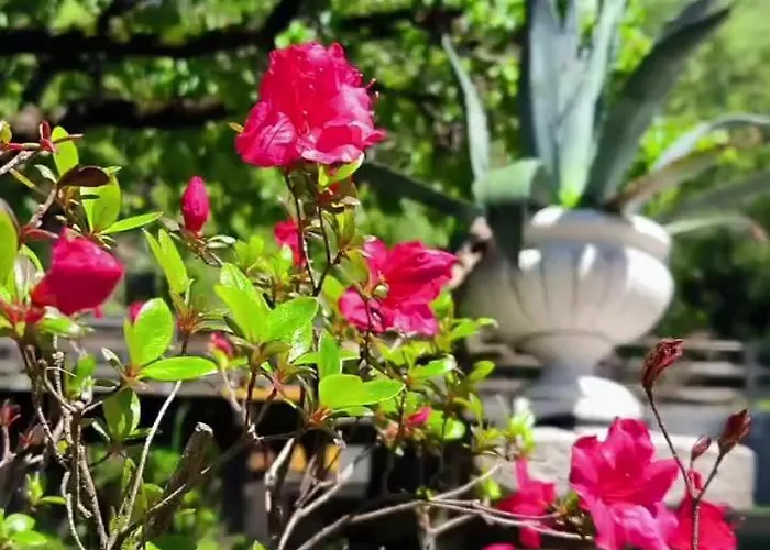 Marchesa 아파트 아로나